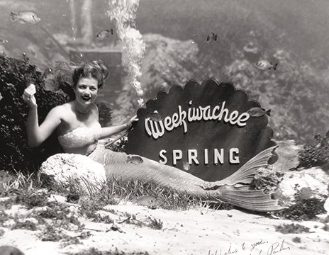 Weeki Wachee Mermaids