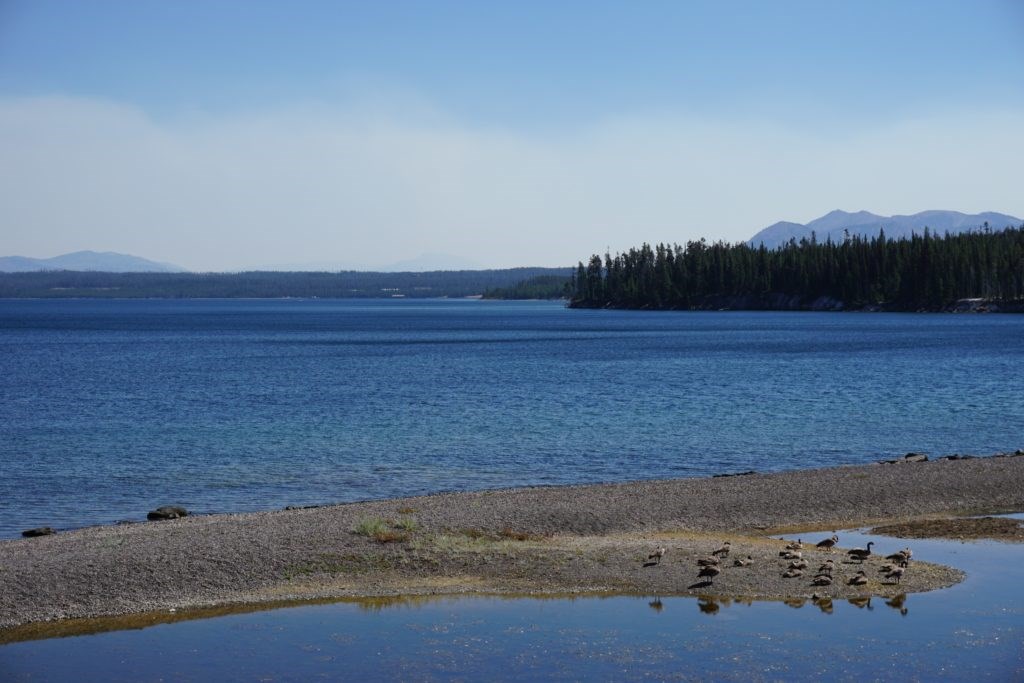 Yellowstone Lake