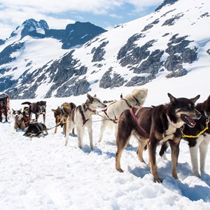 7 Unique Ways to Experience Some Of Your Favorite National Parks Image