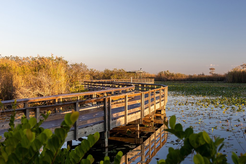 `Anhinga Trail Boardwalk through the Everglades National Park, Florida, USA.