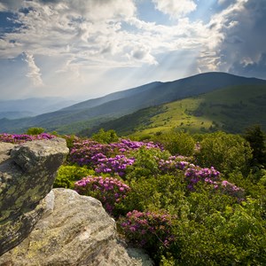 11 Sites to See on the Appalachian Trail Image