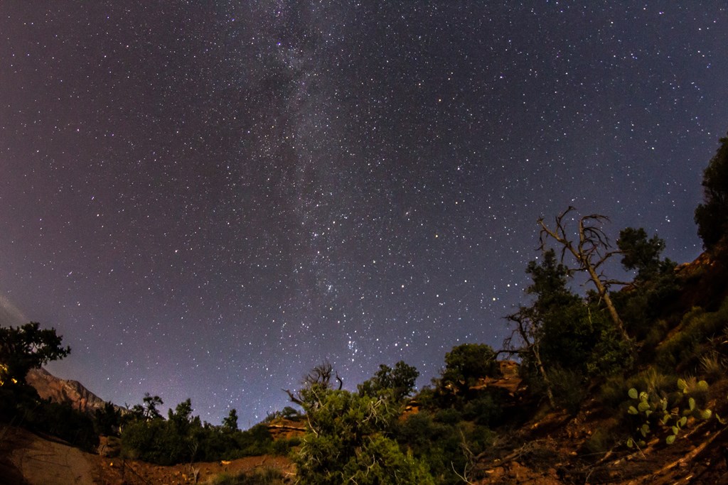 Stars over an Arizona hiking trail.