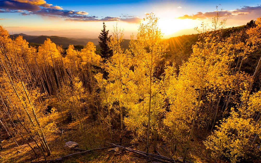 Vivid yellow-golden sunset over the Santa Fe Ski Basin in Northern New Mexico
