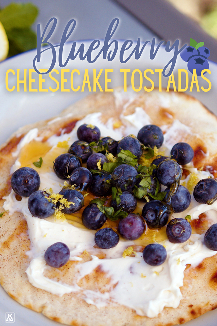 Looking for a new grilled dessert? Try our blueberry cheesecake tostadas for a tang and sweet grilled dessert.