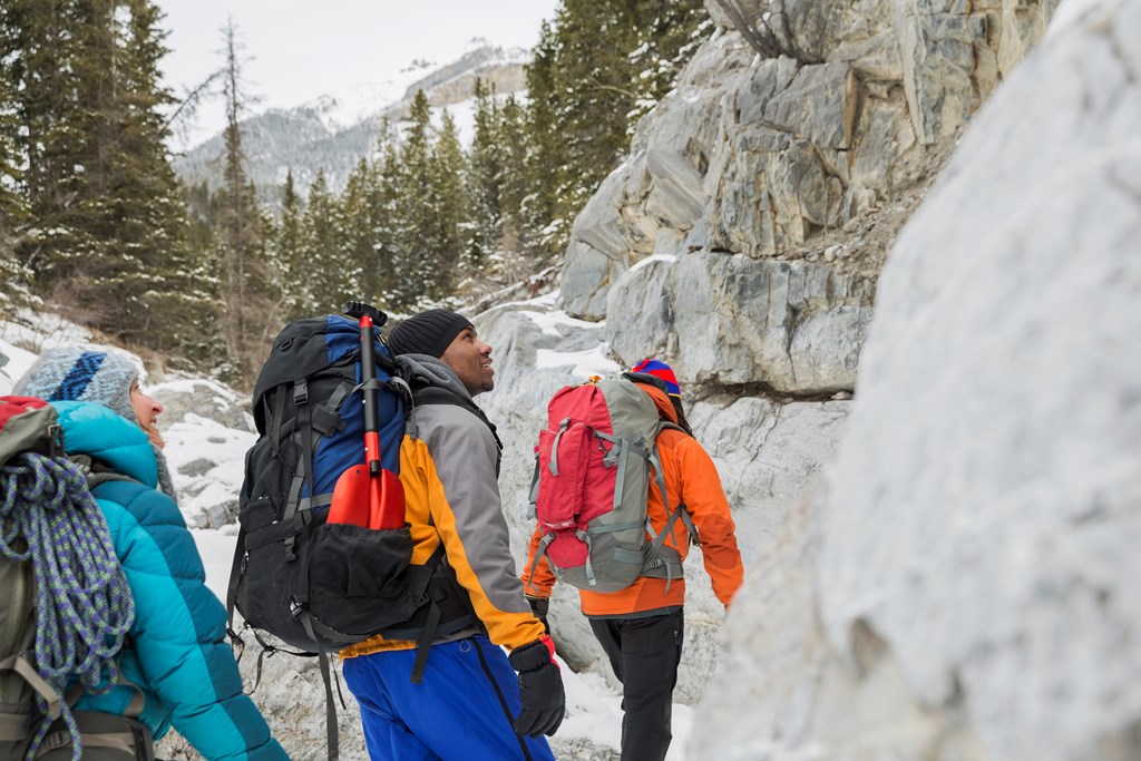 Group of friends on winter hike in mountains.