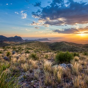 Texas Camping Guide | Best RV Camping in TX, Places to Go & More Image