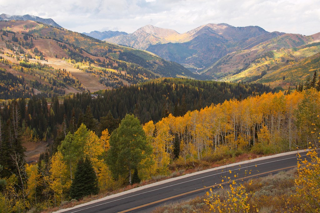 Beautiful autumn at Big Cottonwood Canyon Road near Salt Lake City in Utah in the USA