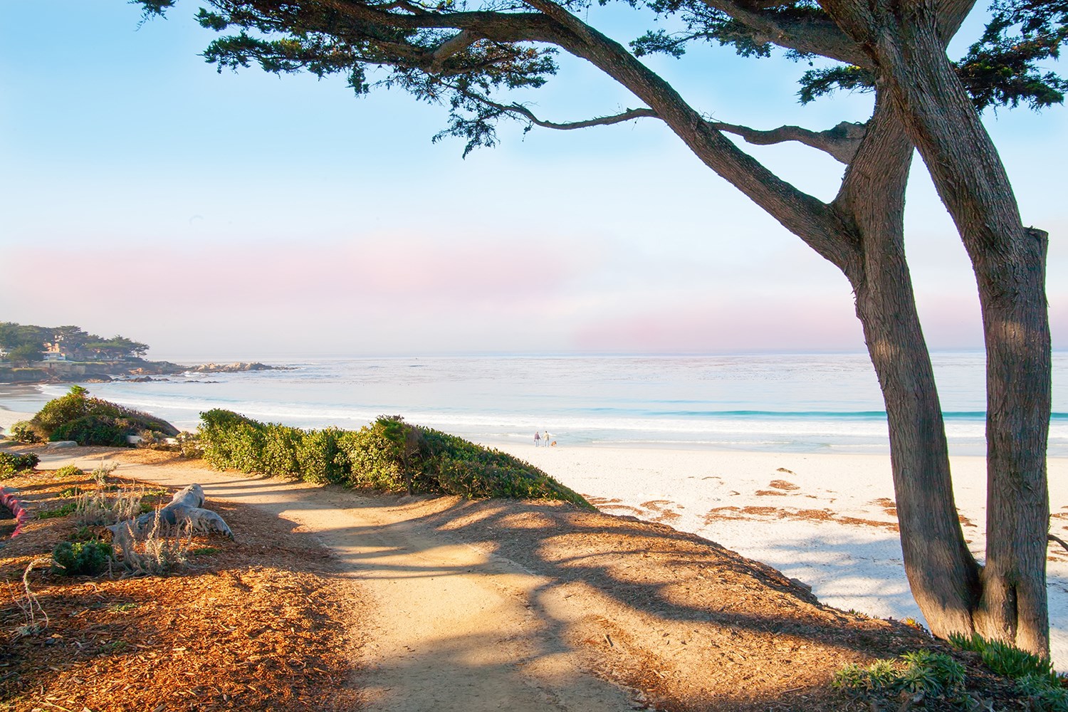 12 California Beaches You Need To Visit