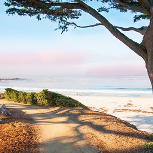 12 California Beaches You Need to Visit Image