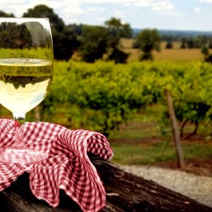 Wine Tasting Vacations in the Finger Lakes Image
