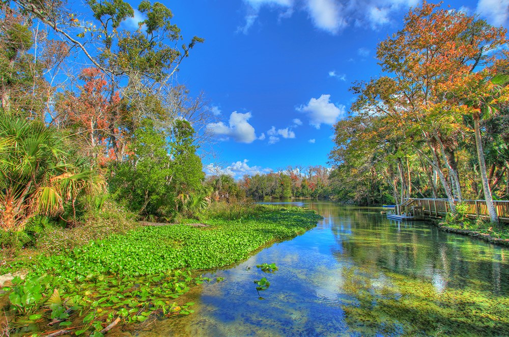 Blue Spring State Park in Florida, USA