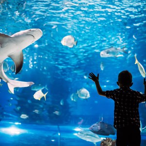 6 Spring Break Camping Destinations for Families Image