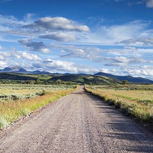 8 National Forests to Explore Across the U.S. Image
