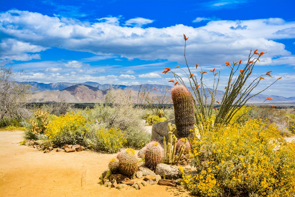 bright blue cloud filled sky and color saturated mountains and desert during the rare California super bloom during spring at Anza-Borrego Desert State Park.