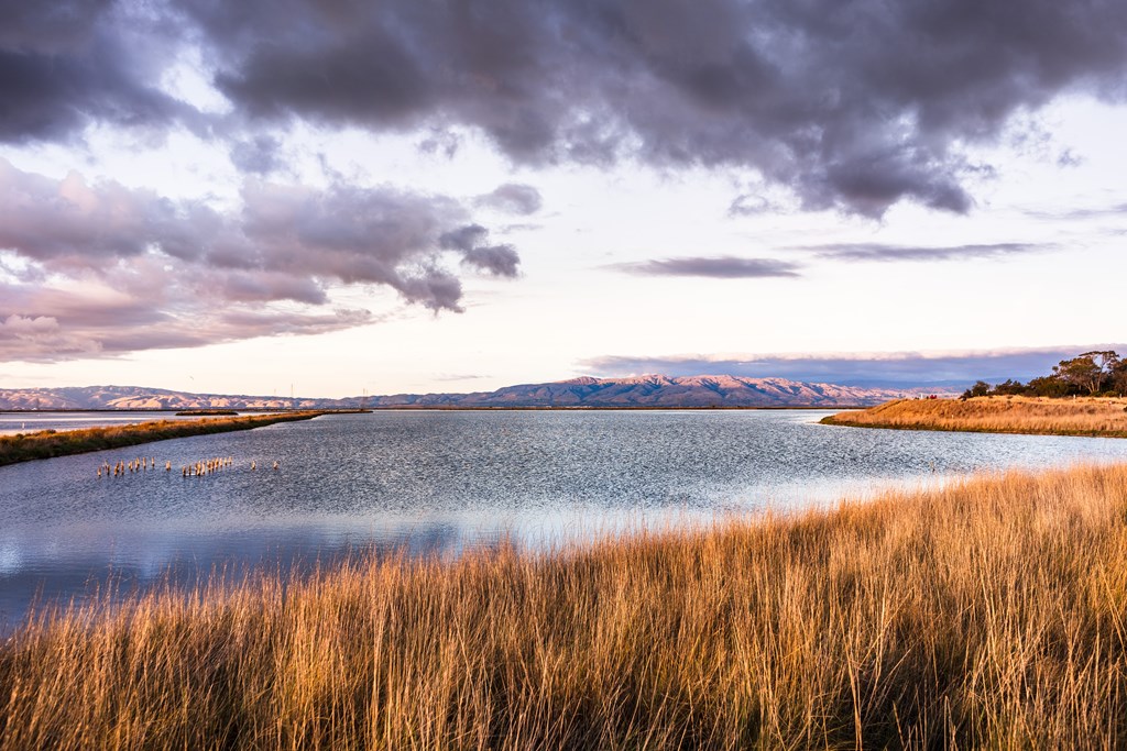 Sunset views of the restored wetlands of South San Francisco Bay Area, with dark clouds reflected on the water surface and Diablo Mountain Range visible in the background, Mountain View, California.