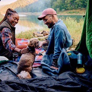 The Best Camping Gear for Pets Image