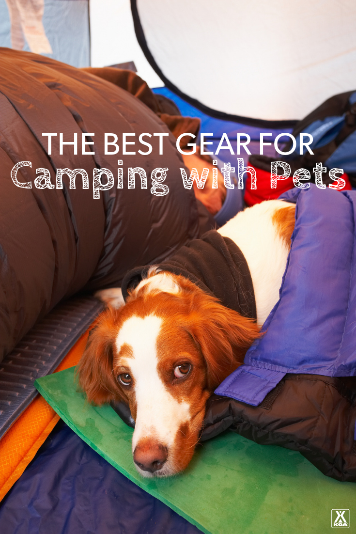 If you're thinking about camping with your pets - or already do - you'll want to check out this list of gear for camping with pets. #campingwithdogs #petcamping