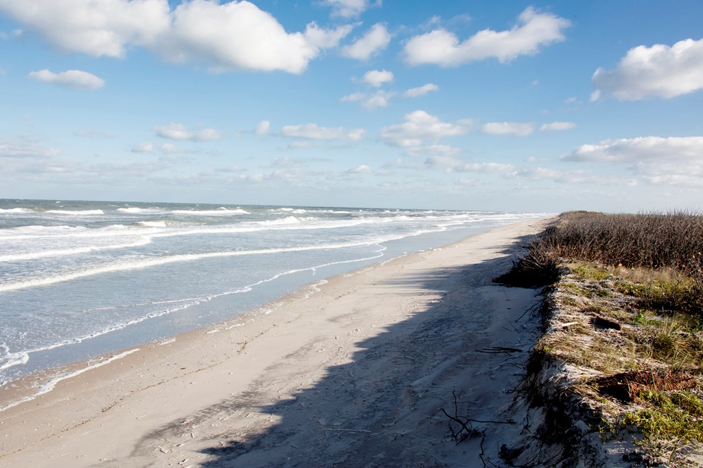 Cape Canaveral National Seashore.