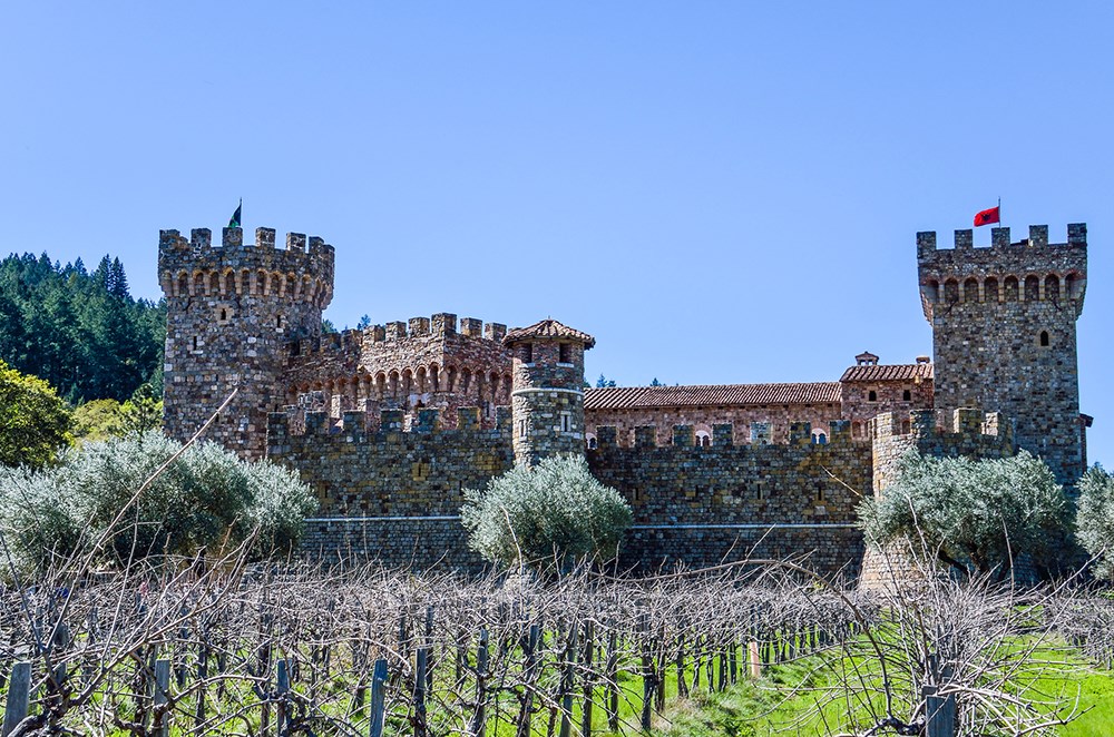 Castello Di Amorosa in California with grapevine rows