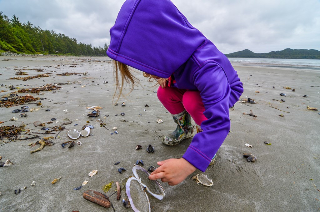 Child beachcombing the tide line on a gray beach