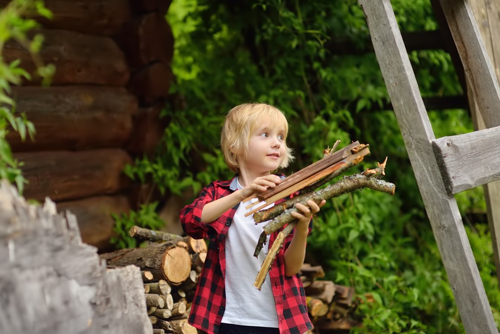 Little boy collecting firewood. 