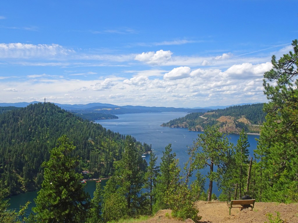A view of lake Couer d'Alene from an overlook.