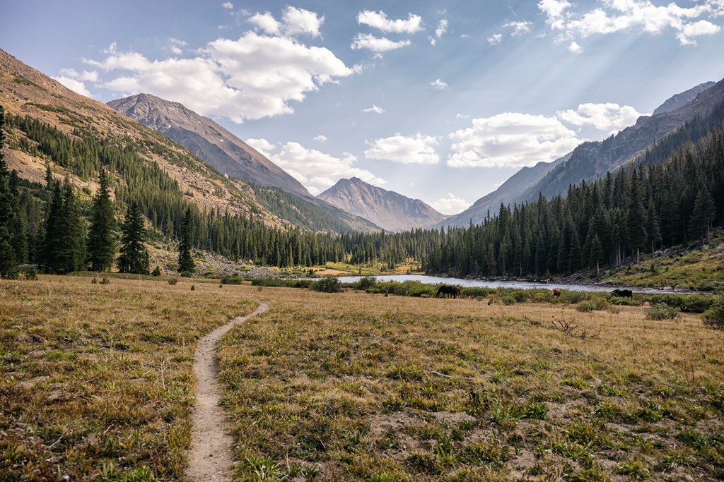 Hiking Trail in the Colorado Wilderness in Aspen, Colorado, United States.
