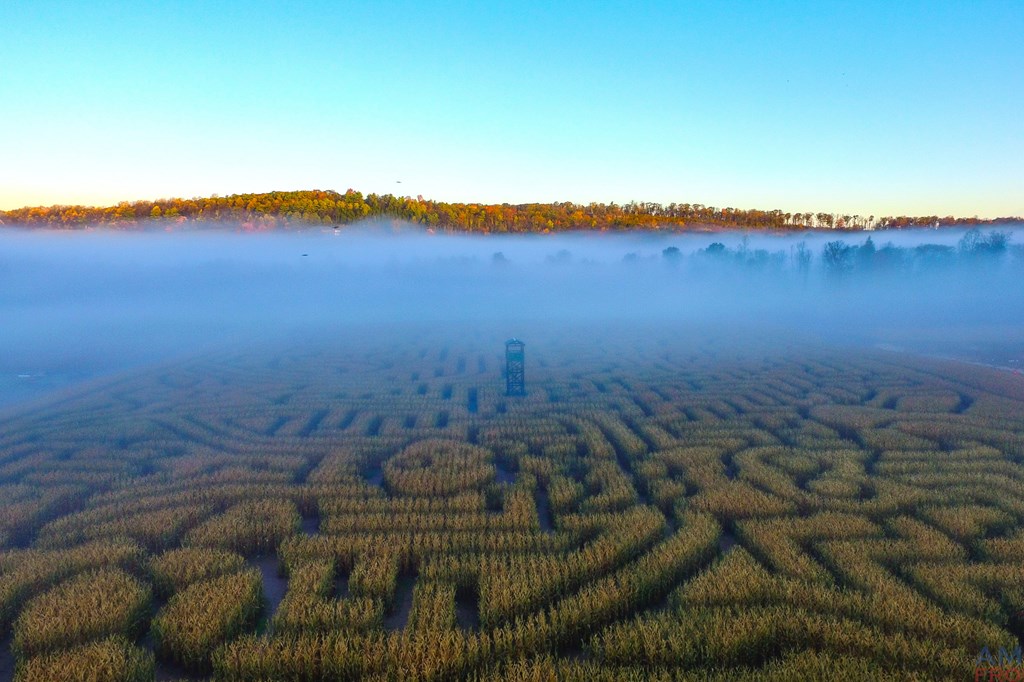 Fog laying over a corn maze in Pennsylvania.