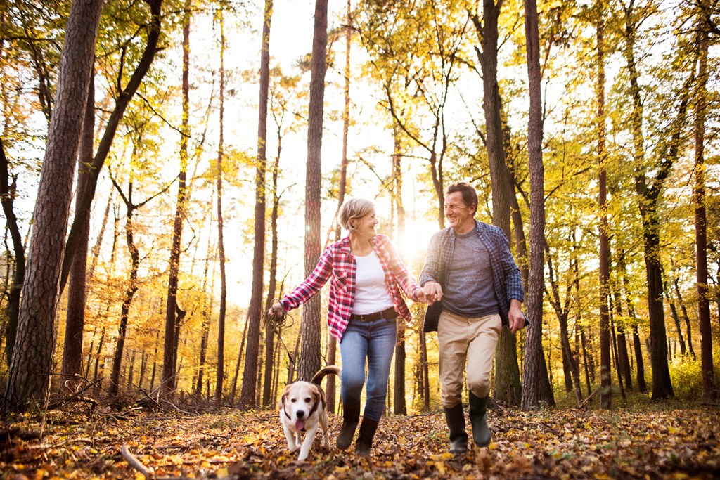 Active senior couple with dog on a walk in a beautiful autumn forest.