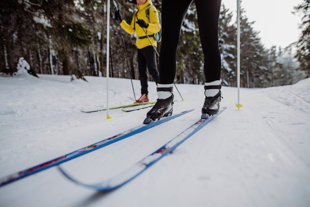 Low section and close-up of skiers doing cross country skiing in the middle of the forest.