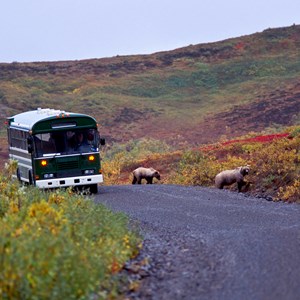 Park-N-Ride: 7 National Parks Where You Don’t Need a Car Image