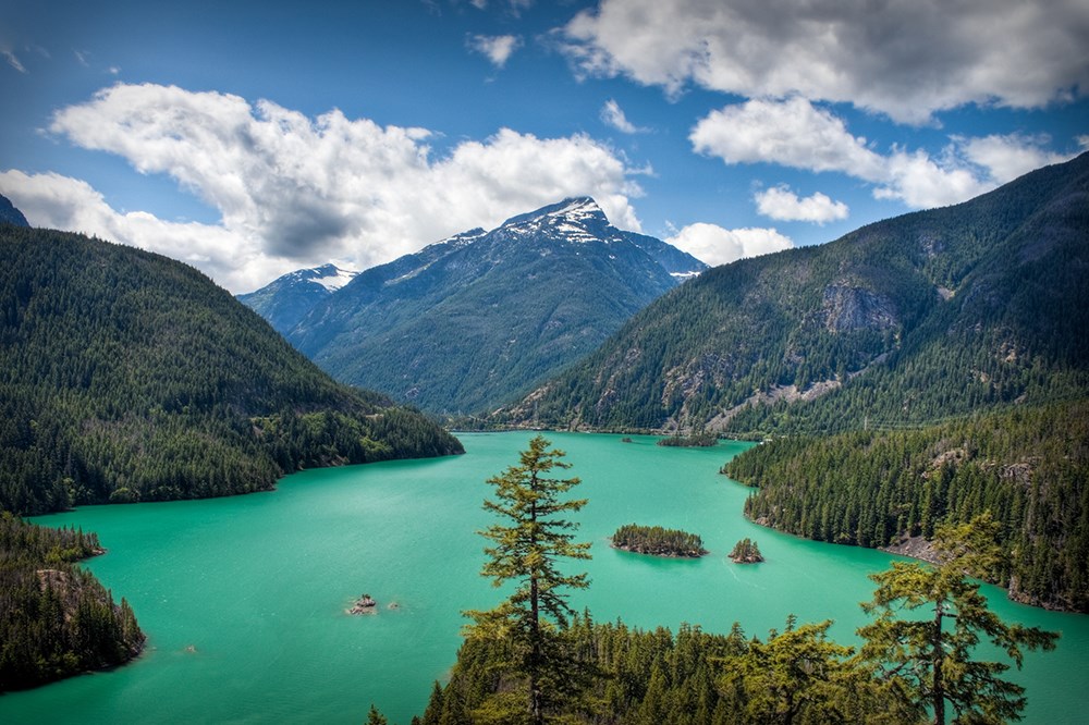 Pnw trail 2025
