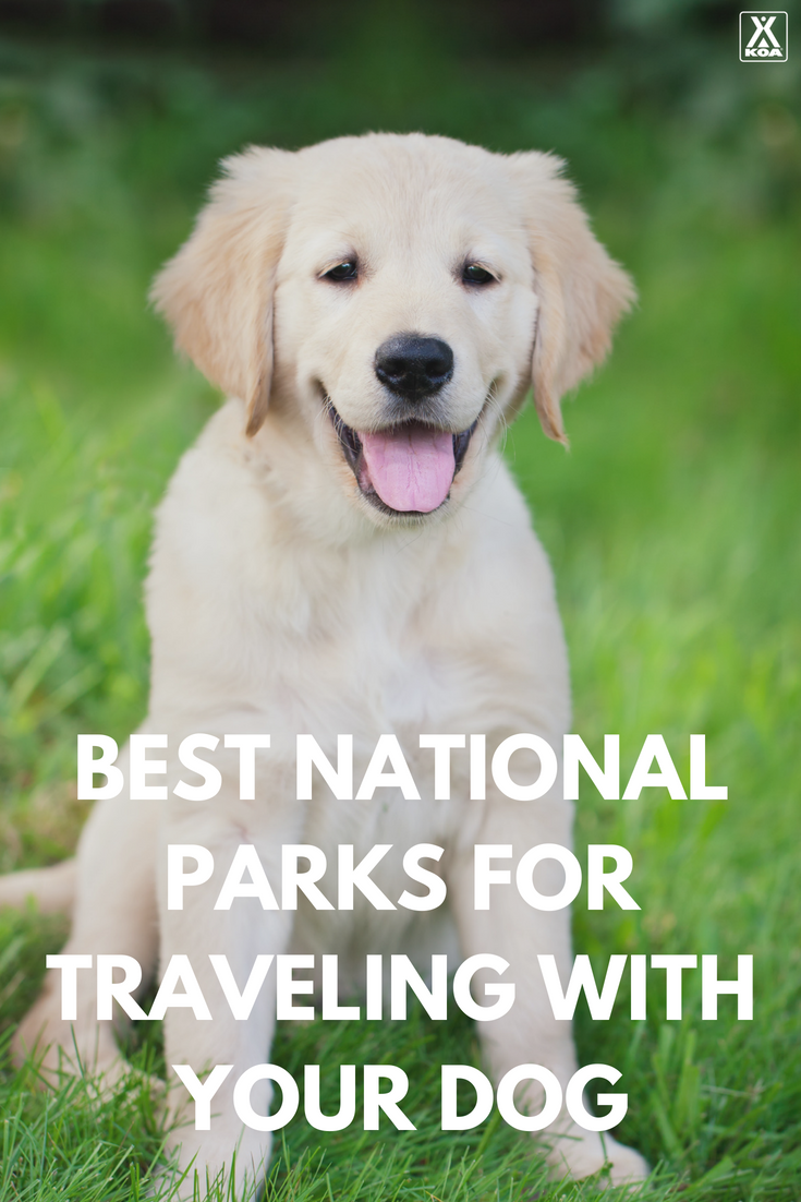 Visit these national parks with your dog. #Dog #NationalParks