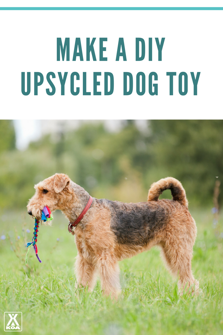 Make this cute, upcycled dog toy!