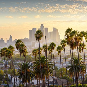 Los Angeles Travel Guide Image
