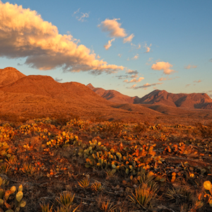 Camping Near El Paso, TX | Campgrounds & Places to Visit El Paso Image