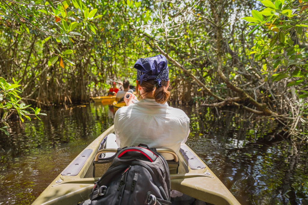 Tourist kayaking in mangrove forest in Everglades, Florida, USA.