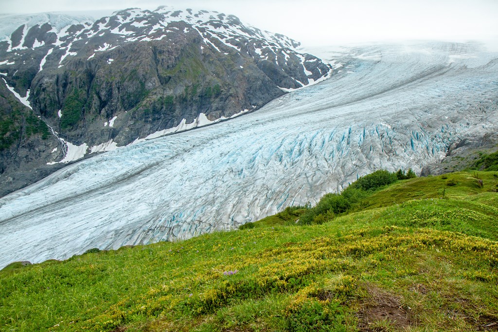 Exit Glacier, Alaska, USA, as seen from the Harding Ice field Trail. 