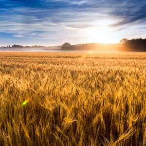 Things to Do Outdoors in Kansas | Camping, Historic Scenes & More Image