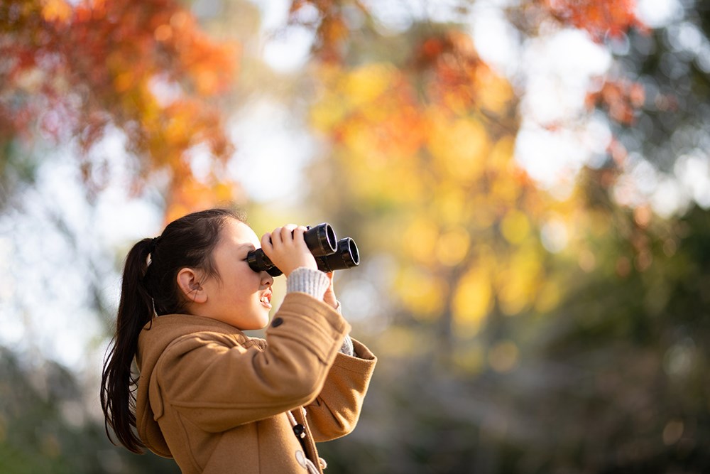 Girl using binoculars in the autumn forest