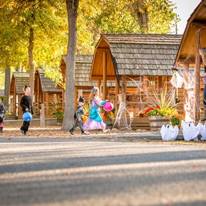 2024 Fall Events and Themed Weekends at KOA Campgrounds Image
