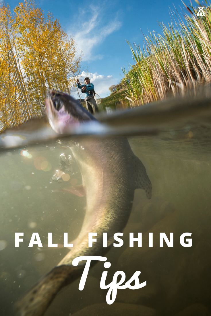 Tips for fall fishing