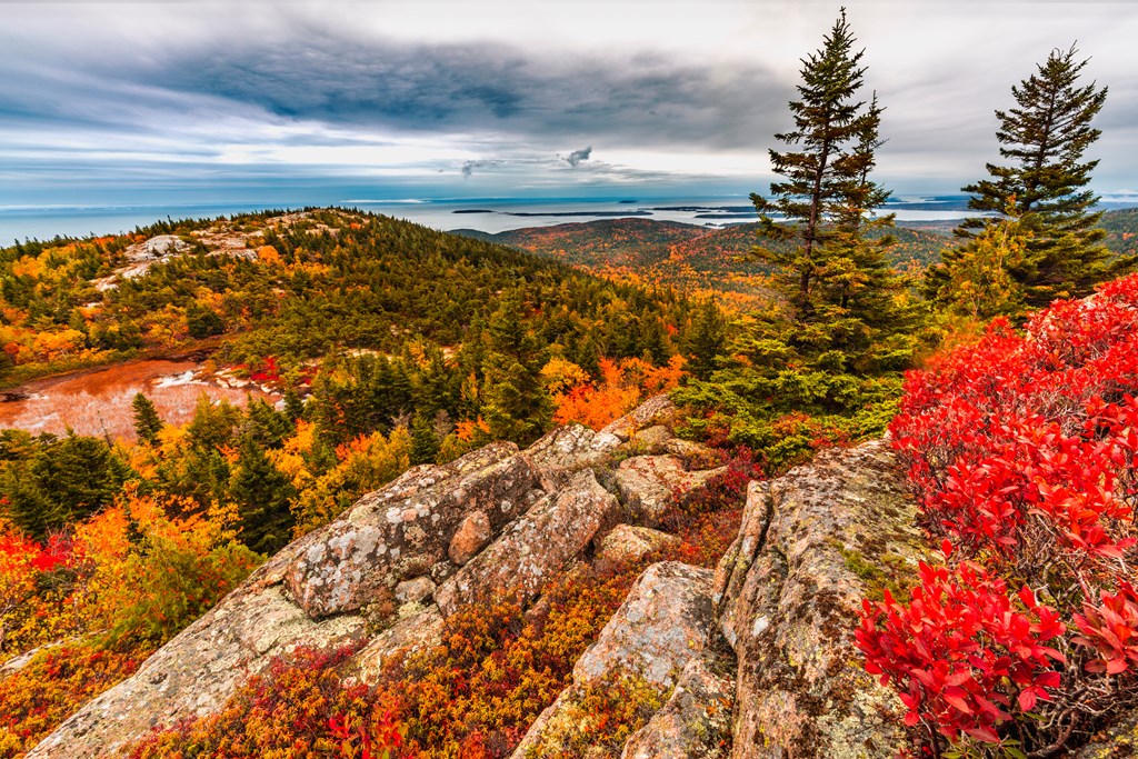 Fall Foliage atop Cadillac Mountain in Acadia National Park Maine