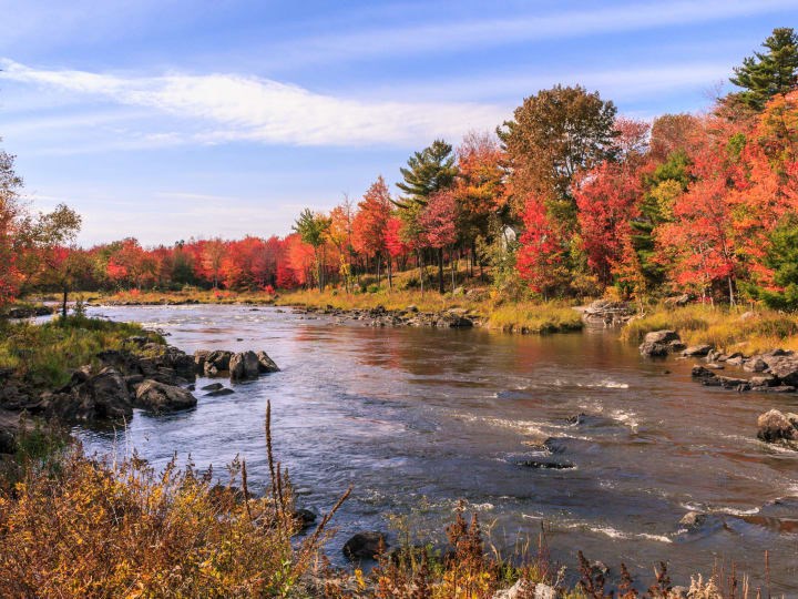 /blog/images/fall-folliage-road-trip.jpg?preset=blogThumbnailCrop
