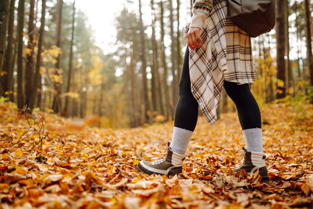 A woman tourist walks through fallen leaves in the autumn forest.