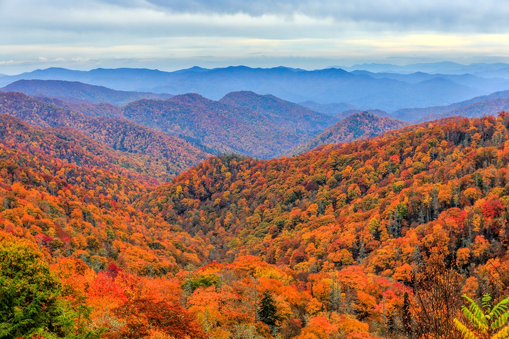 Autumn colors in Great Smoky Mountains National Park, North Carolina