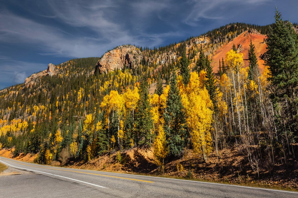 Beautiful yellow autumn aspen tree leaves. Taken near Silverton at the Million Dollar Highway, Colorado Rocky Mountains, USA.