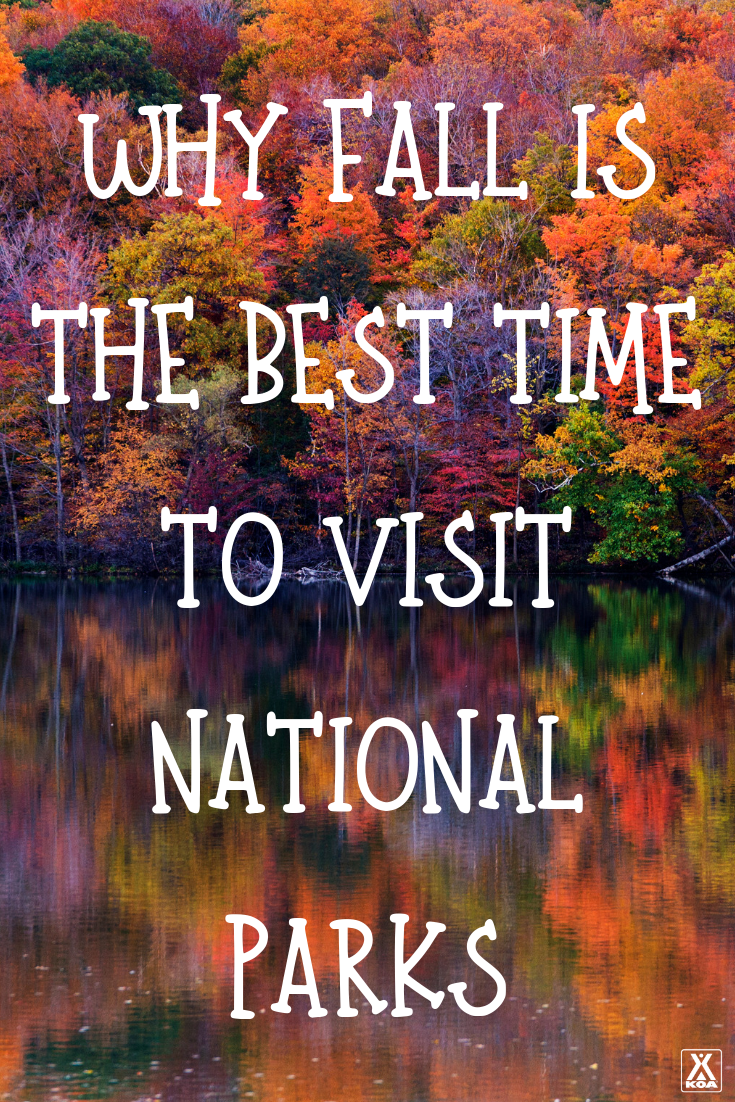 Have you explored our national parks in the fall? Learn why fall is the best time to visit some the United State's most stunning natural landscapes and plan your trip to a national park this autumn.
