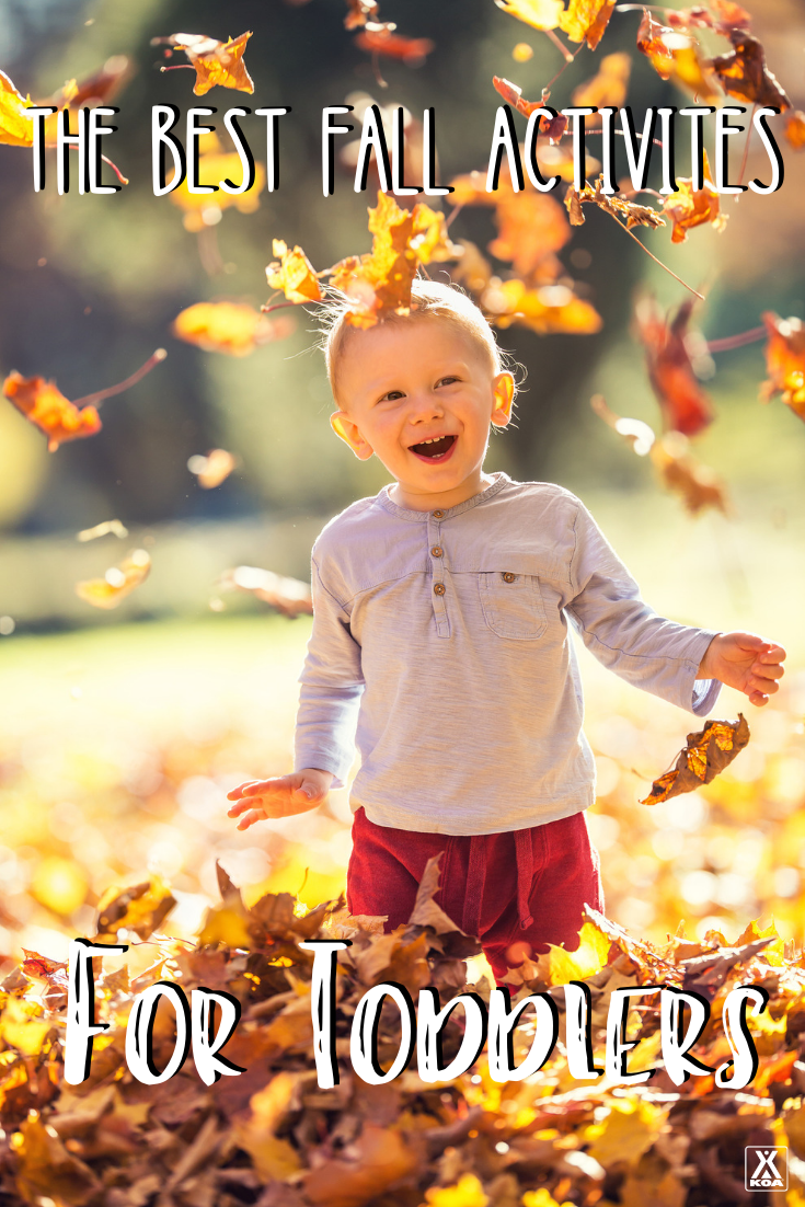 The Best Fall Activities For Toddlers Autumn Outdoor Autumn Outdoor Activities