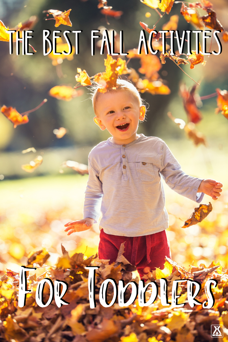 Looking for some ideas to get you and your toddler outdoors and exploring this fall? Check out these outdoor autumn activities for toddlers!